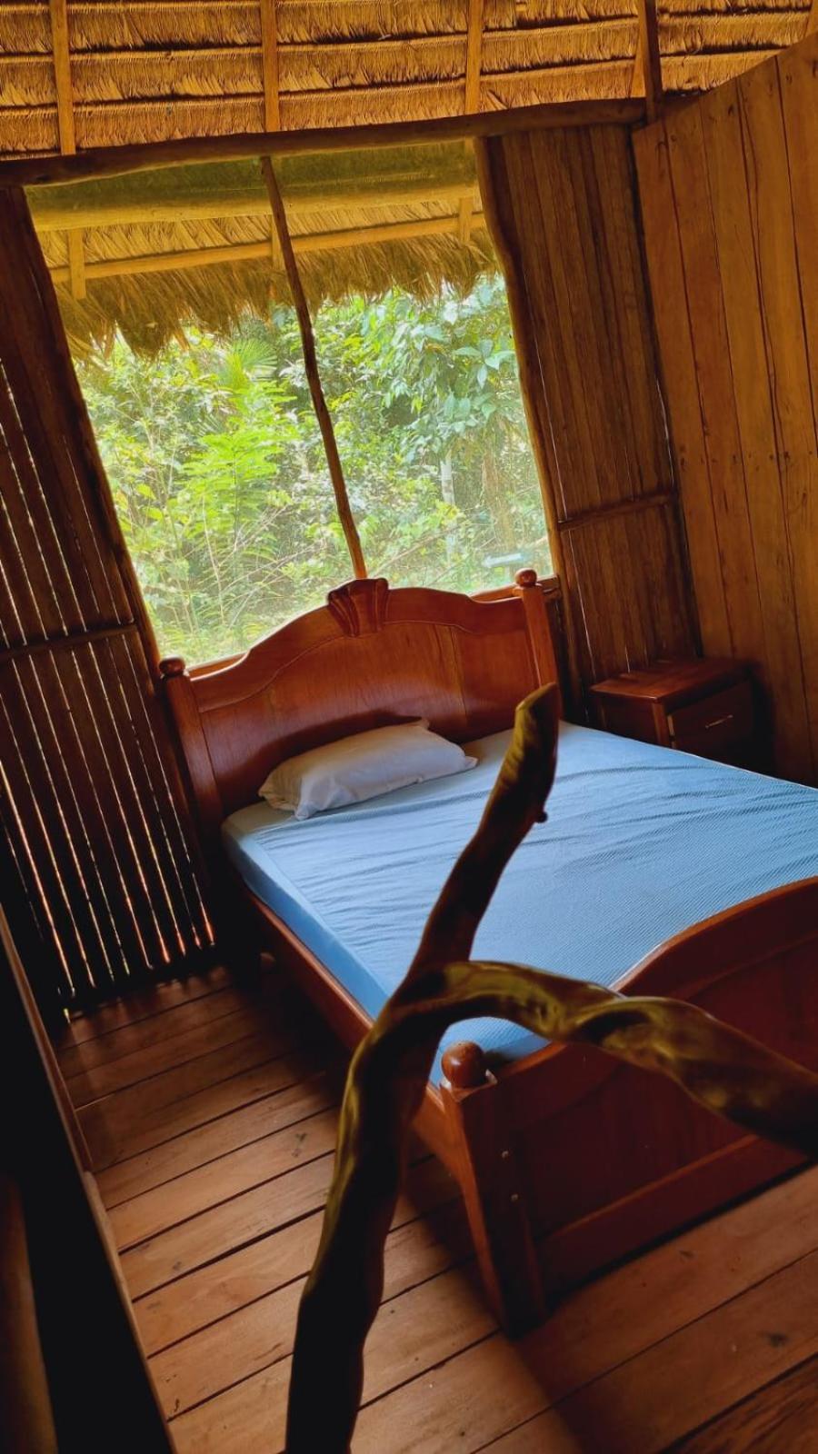 Hostel Castana Amazon Park Puerto Maldonado Exterior foto
